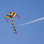 A kapcsolódás hungarikuma